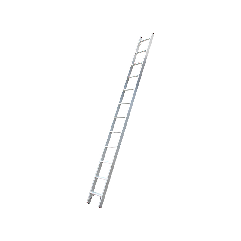 Einzelleiter