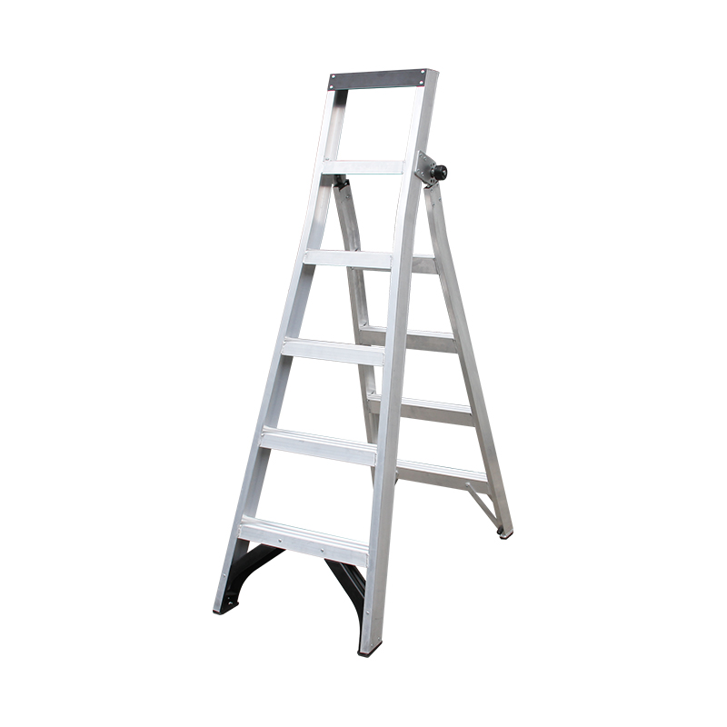 Quicklock-Dual-Purpose-Leiter